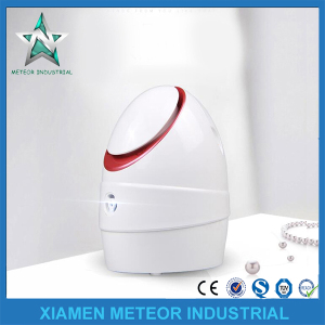 Home Use Portable Beauty Instrument Anion Facial Steam Machine