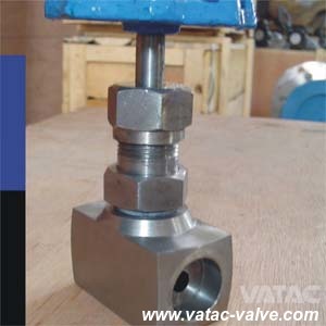 Ss316/Ss304 6000 Psi Fnptxmnpt Needle Valve Lever