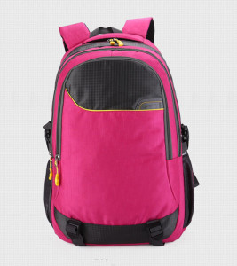 Double Shoulder Leisure School Backpack Bag