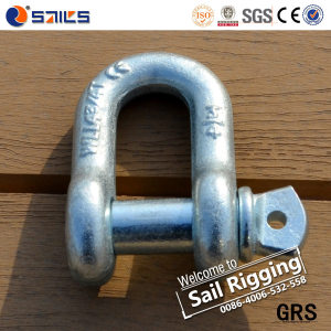 Galvanized Drop Forged Us Chain Shackle