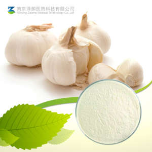 Factory Supply Natural Garlic Extract 1% Allicin